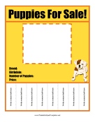 Puppies For Sale Flyer