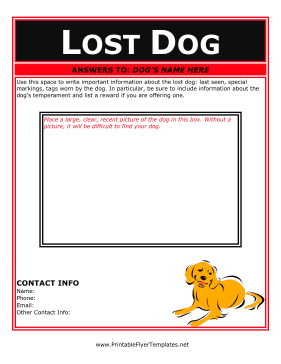 Flyer For Lost Dog Printable Template