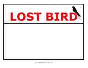 Lost Bird Flyer
