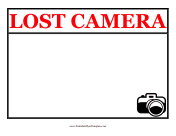 Lost Camera Flyer