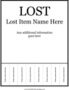 Lost Flyer