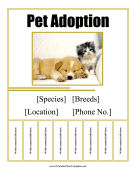 Pet Adoption Flyer