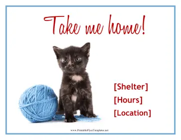 Kitten Adoption Flyer Printable Template
