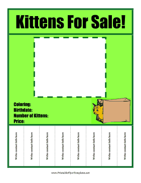 Kittens For Sale Flyer Printable Template