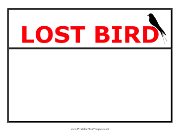 Lost Bird Flyer Printable Template