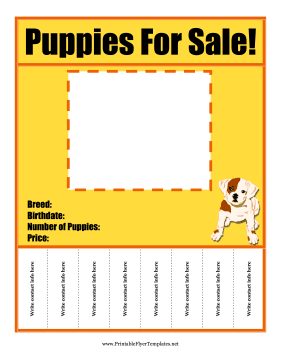 Puppies For Sale Flyer Printable Template